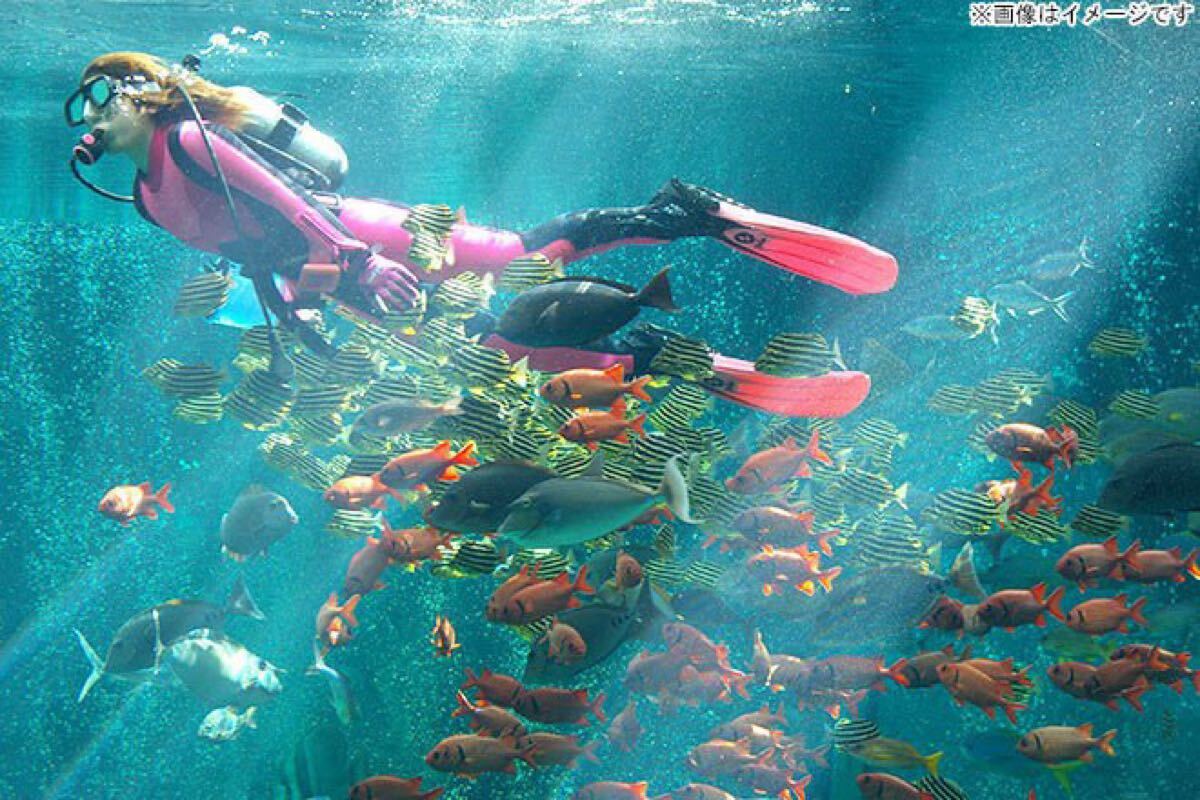 ザ・プリンス 箱根芦ノ湖 4枚分_6