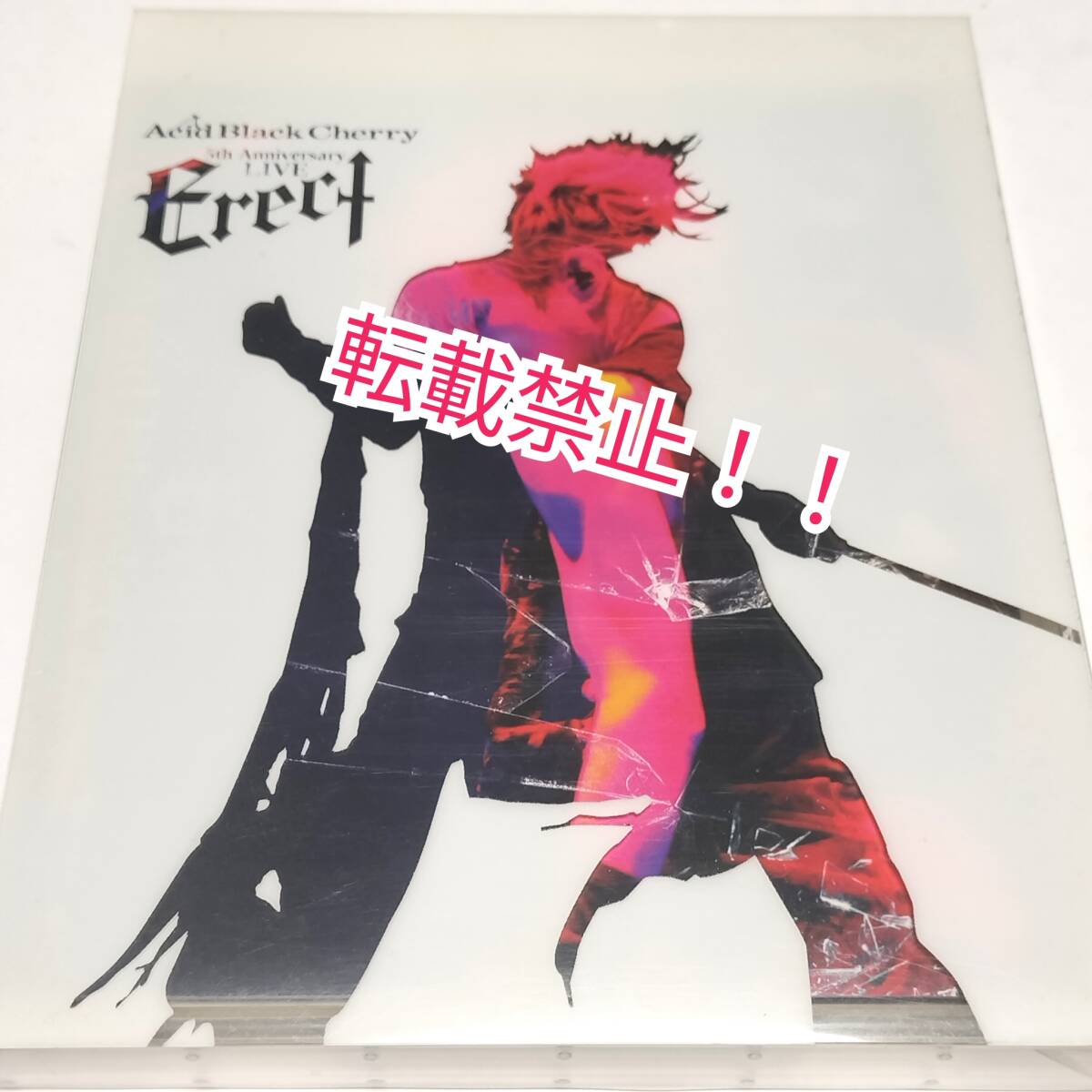 Acid Black Cherry 5th Anniversary Live “Erect