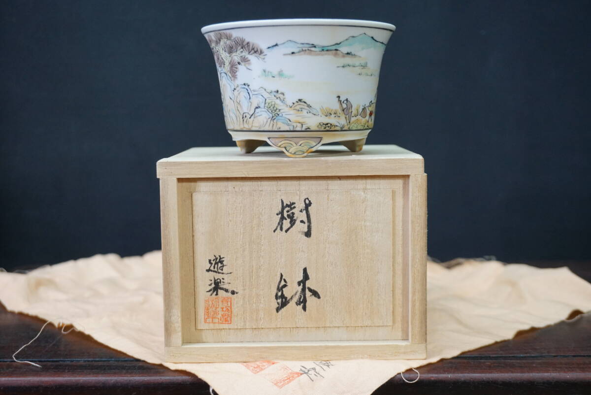☆盆栽日和☆ 和鉢 【遊楽】 色絵山水図外縁樹鉢・共箱・共布 9.3