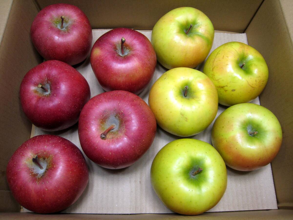 ■本場弘前りんご■美丘・こうこう■1段詰め■超特大玉10玉5.5kg■限定１箱■家庭食用■生産者直送■_4