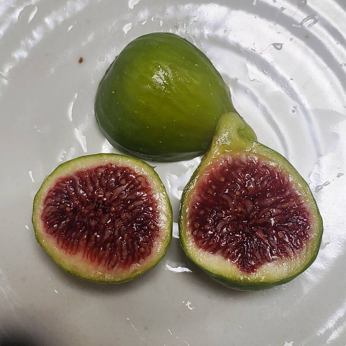 ☆　Adriatic JH イチジク 挿し穂 穂木_2