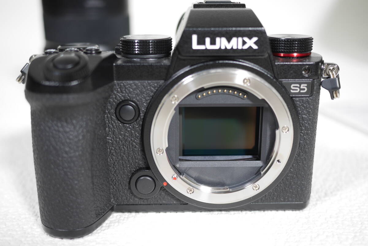 極美品】 DC-S5K-K LUMIX 標準ズームレンズキット S5 20-60mm F3.5-5.6