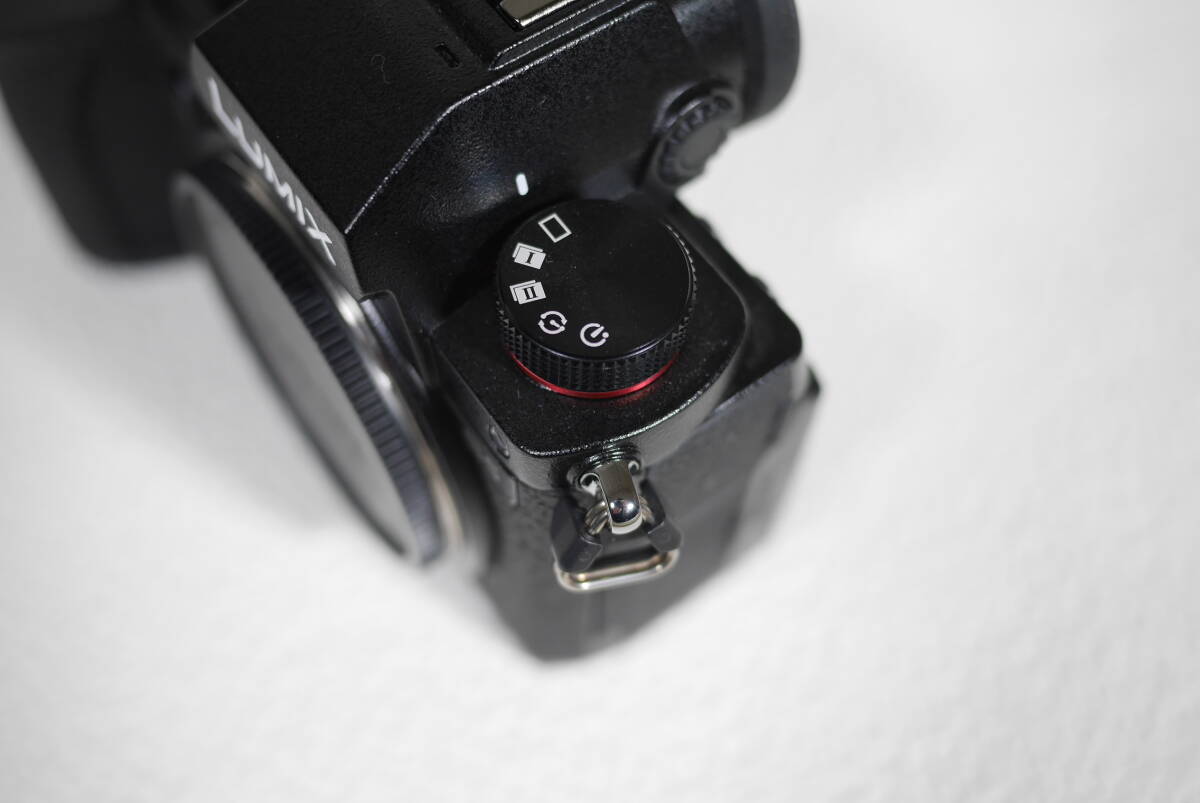 極美品】 DC-S5K-K LUMIX 標準ズームレンズキット S5 20-60mm F3.5-5.6