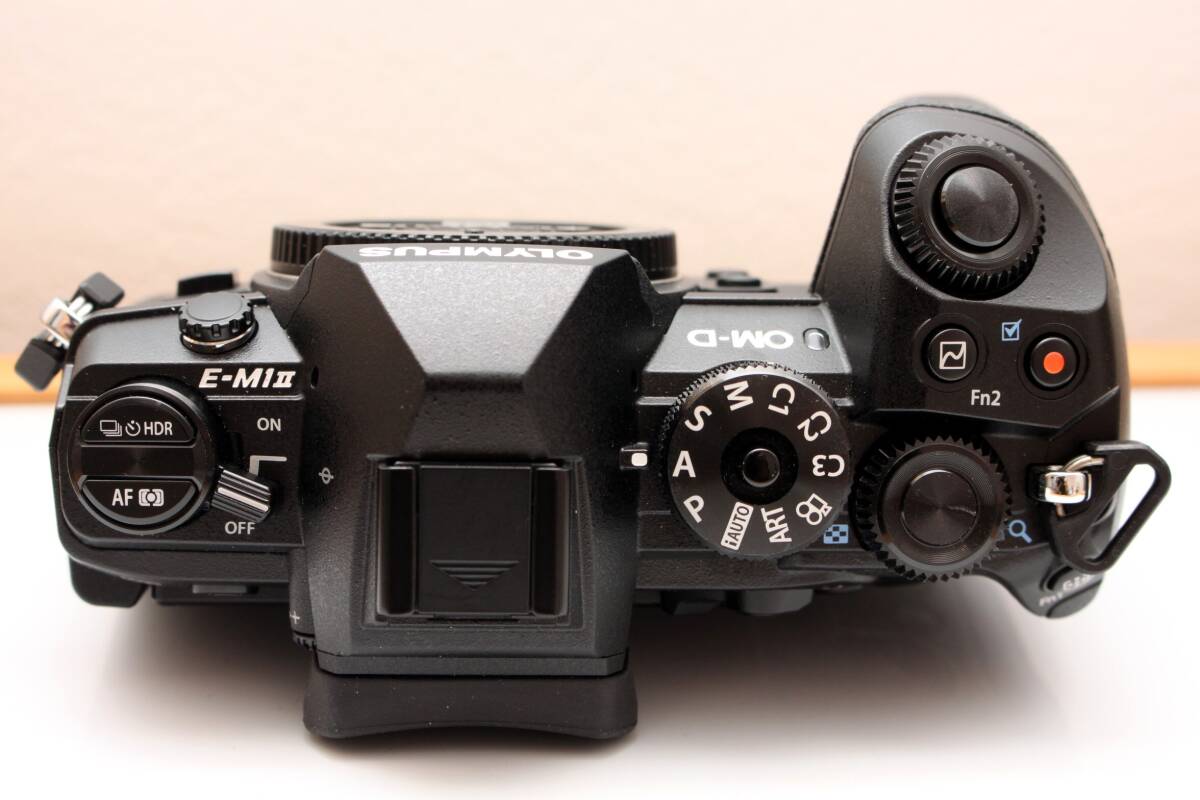 OLYMPUS OM-D E-M1 markⅡシャッター数422回 動作品中古 パワー