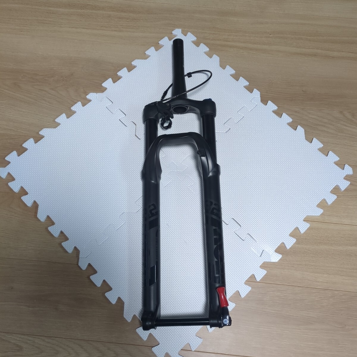 Fox 32 29 Float GRIP EVOL Rhythm 120_1