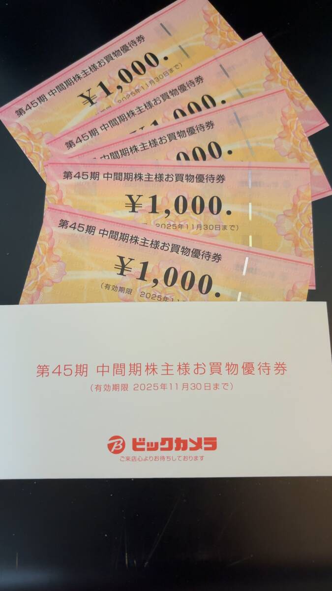 【最新】ビックカメラ 株主優待券 1,000円×5枚＝5,000円分◇送料無料_1