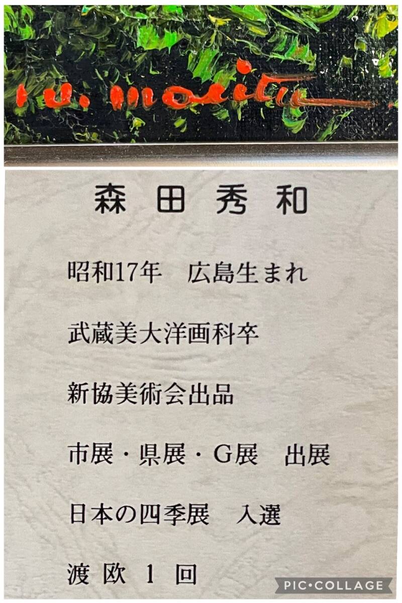 油彩画 森田秀和 信州立山 山岳風景画 額装 インテリア 真作□油彩□森田秀和□『武甲山（秩父市）』□風景画巨匠・壮大最高