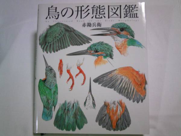 鳥の形態図鑑◇バードカービングの参考などに(生物学)｜売買された