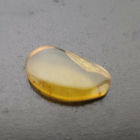 虫入り琥珀 ビルマ琥珀 ミャンマー産 コハク 白亜紀 昆虫 アンバー 標本 No.9_2