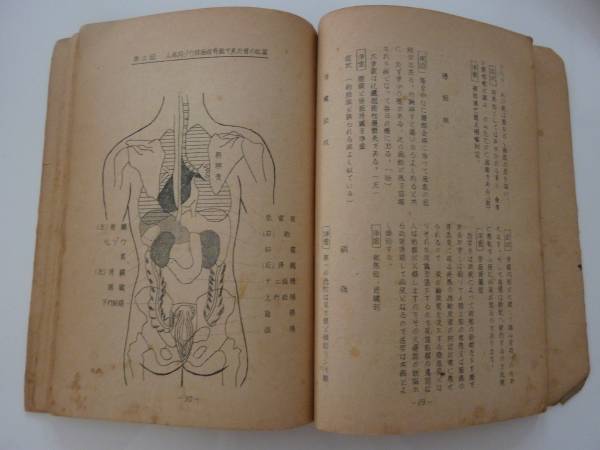 ☆希少！世界救世教 【浄霊の栞】岡田茂吉 昭和27年7月(宗教)｜売買