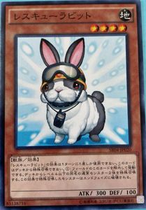 レスキューラビットの値段と価格推移は？｜4件の売買データから