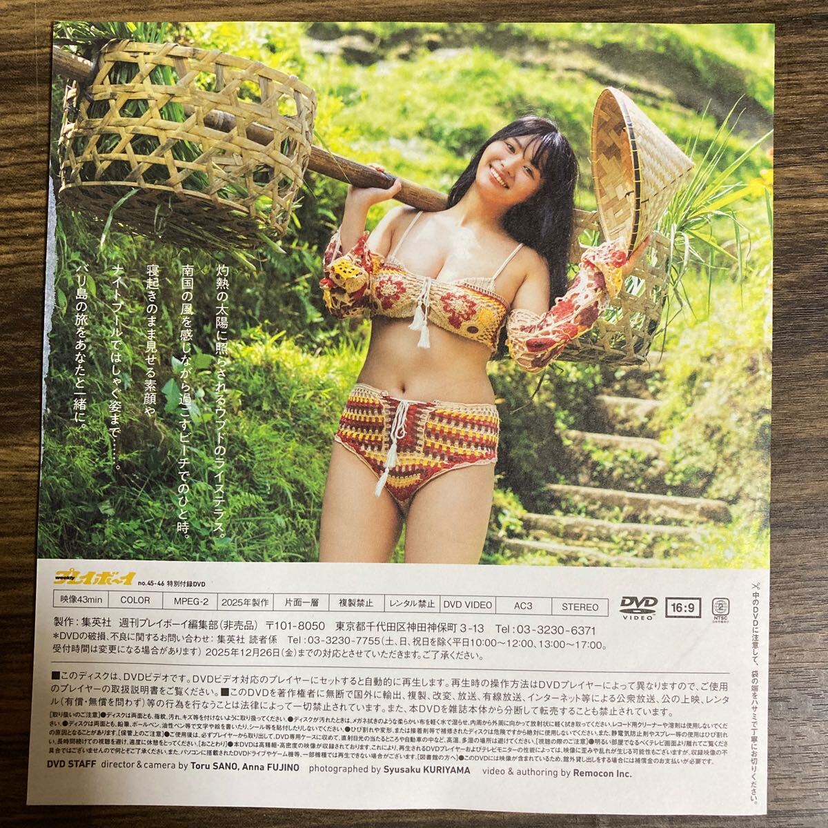 豊島心桜 150μ厚手ラミネート加工 9ページ 付録DVD付属 週刊 