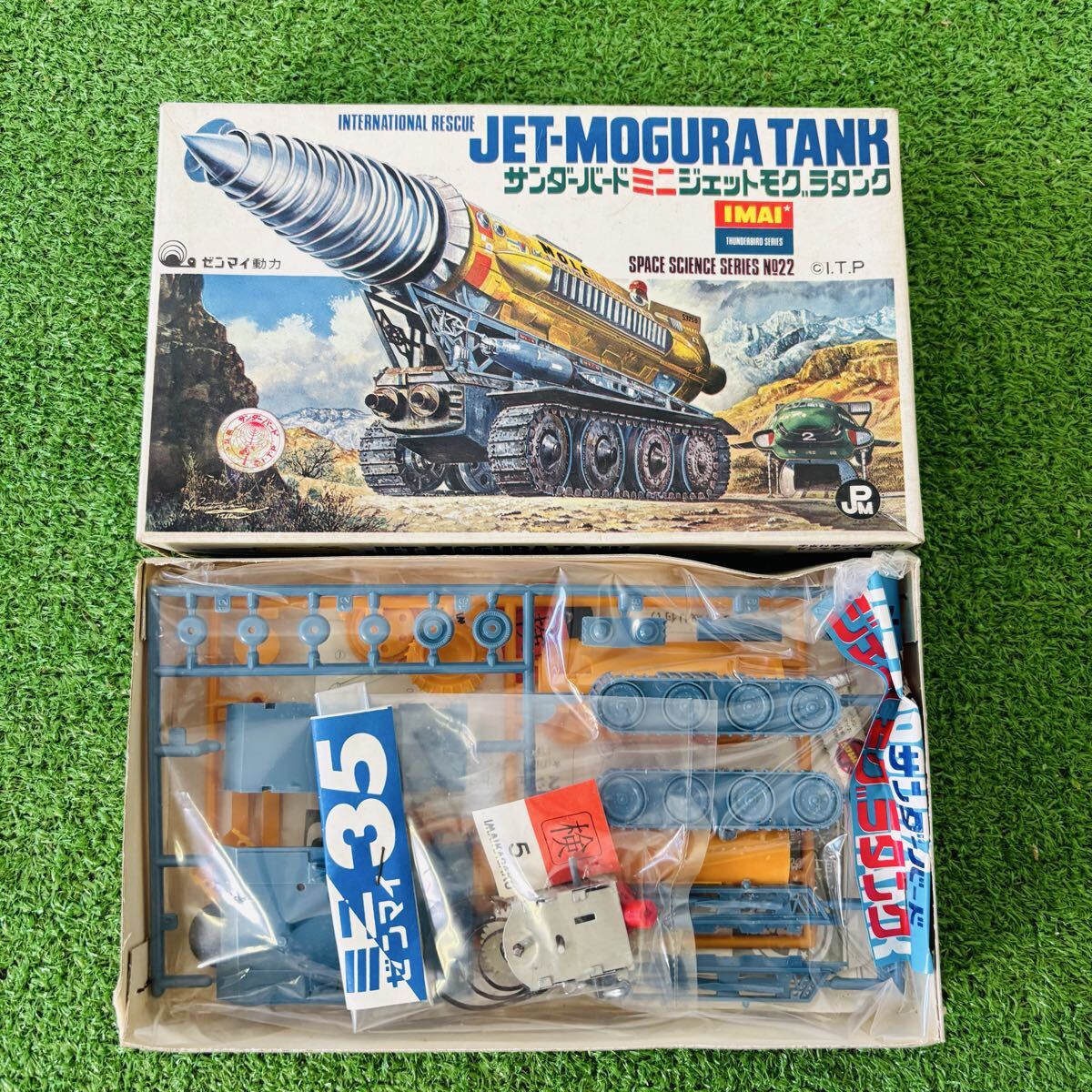 ゼンマイの情報