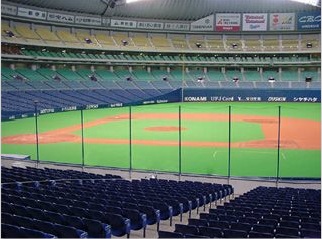 4月28日(日) 中日VS阪神 ルビーシート ナゴヤドーム 2枚セット ルビーシート2連番set】ナゴヤドーム 中日vsヤクルト 4/11