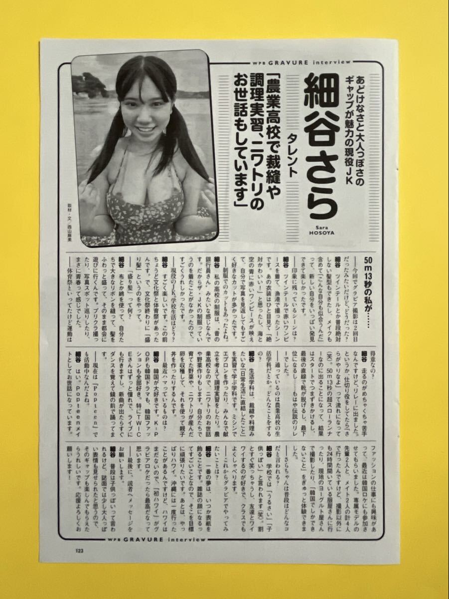 ①☆細谷さら☆切り抜き18P プレイボーイ FRIDAY フライデー FLASH