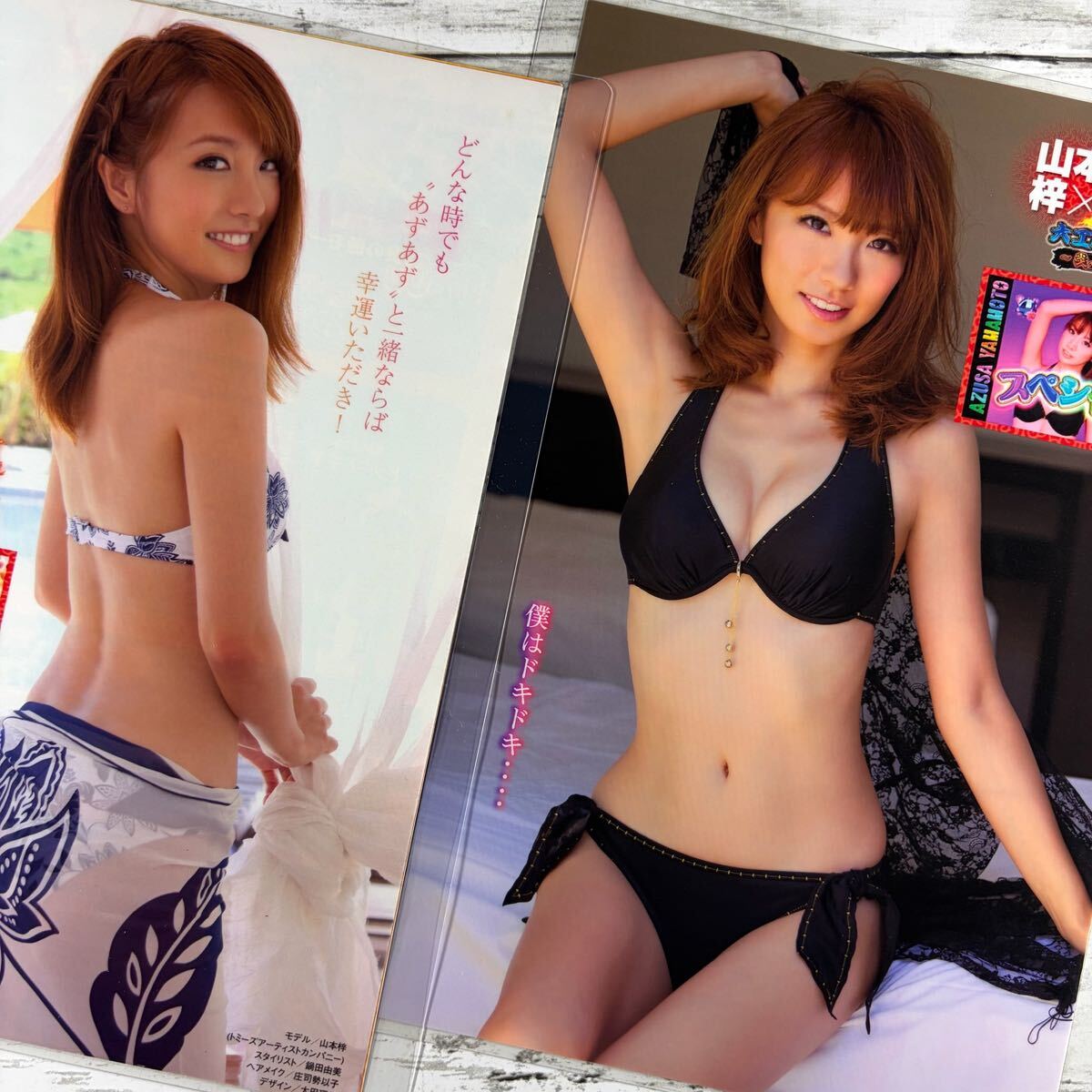 高品質ラミネート処理][ 山本梓 ] 雑誌 切り抜き 14P B5 フィルム 水着