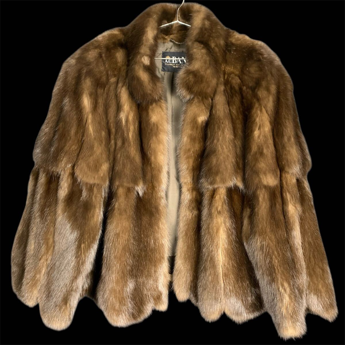 セーブルの値段と価格推移は？｜178件の売買データからセーブルの価値