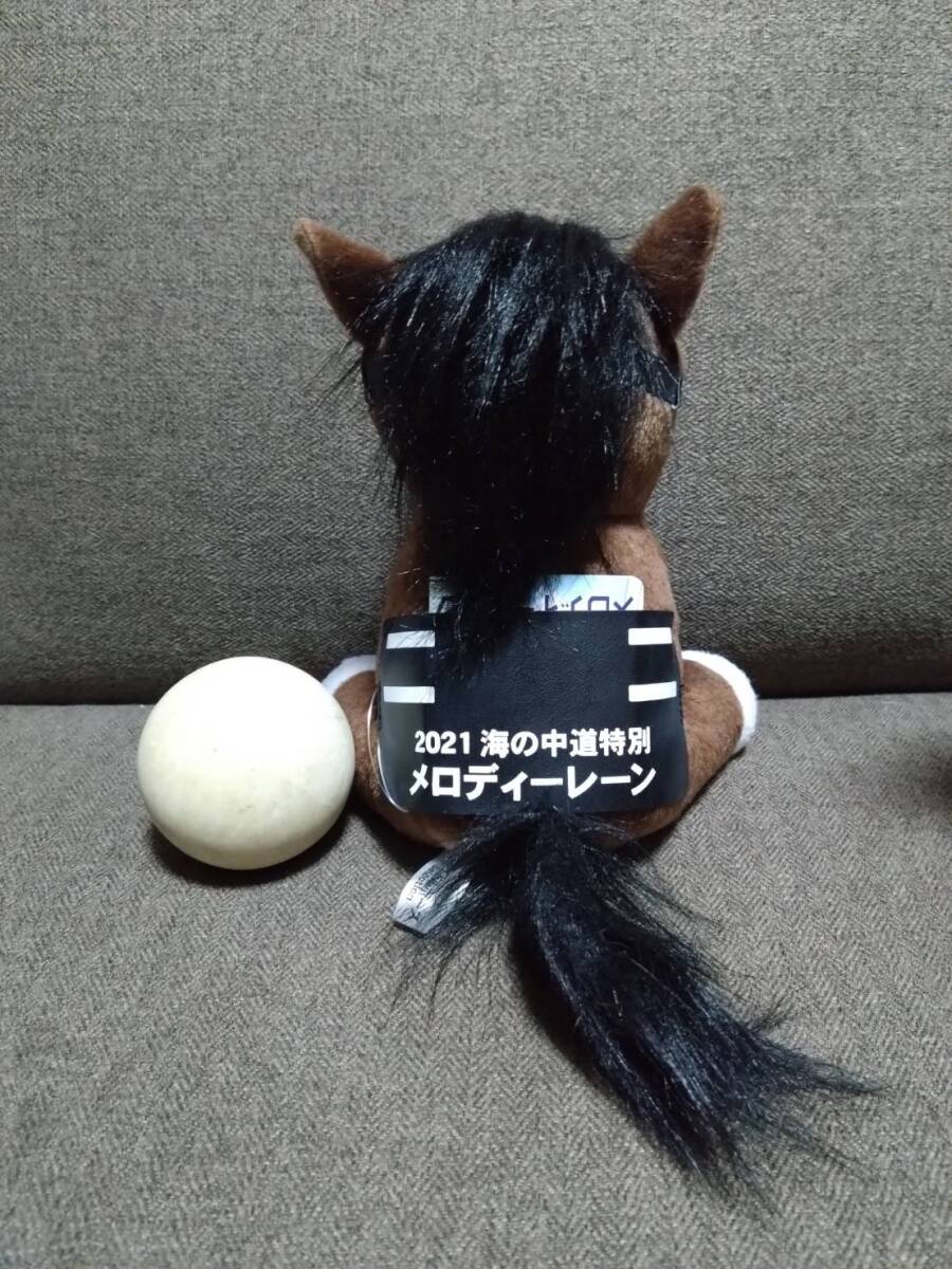 メロディーレーン 海の中道特別 Mサイズ ぬいぐるみ アイドルホース