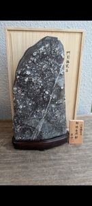門司梅花石の値段と価格推移は？｜1件の売買データから門司梅花石の