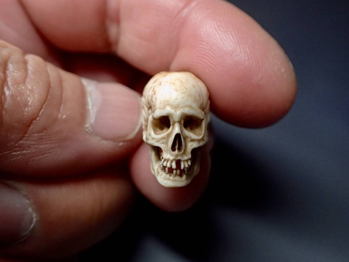 髑髏 どくろ ドクロ skull スカル 野晒し しゃれこうべ 鹿角 一点物