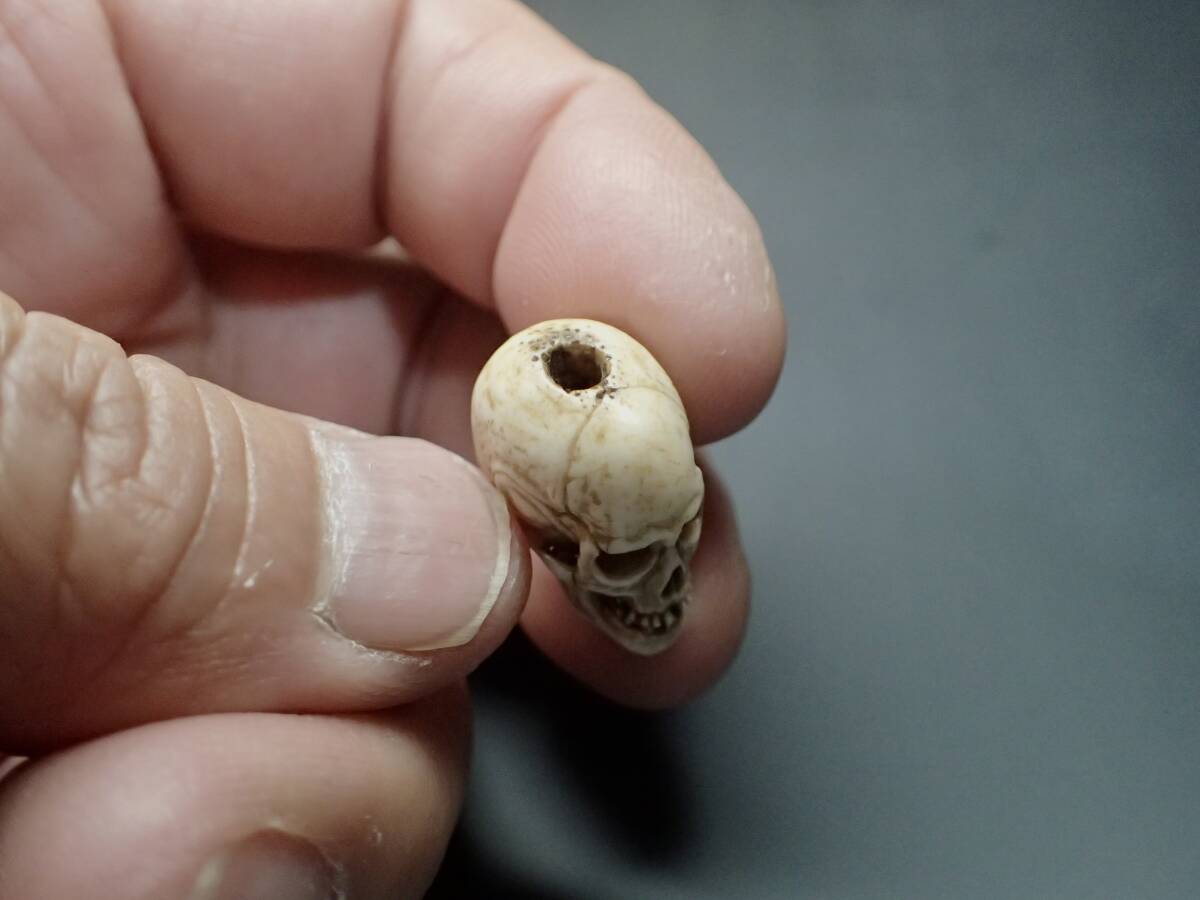 髑髏 どくろ ドクロ skull スカル 野晒し しゃれこうべ 鹿角 一点物