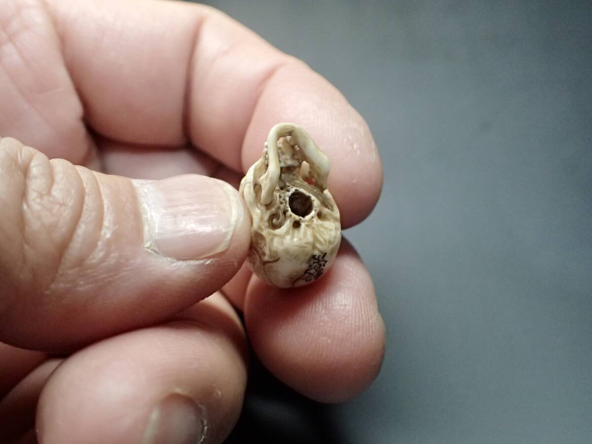 髑髏 どくろ ドクロ skull スカル 野晒し しゃれこうべ 鹿角 一点物