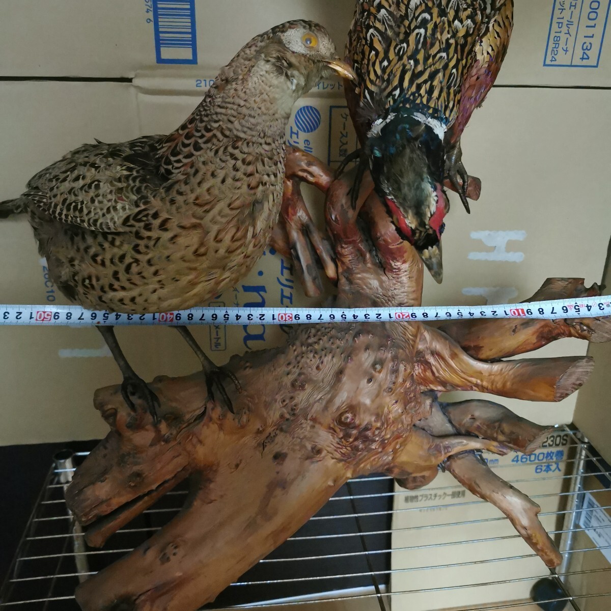 キジ 剥製 雄雌ペア 流木台座 雉 剥制 天然木 骨董 工芸品 置物(置物