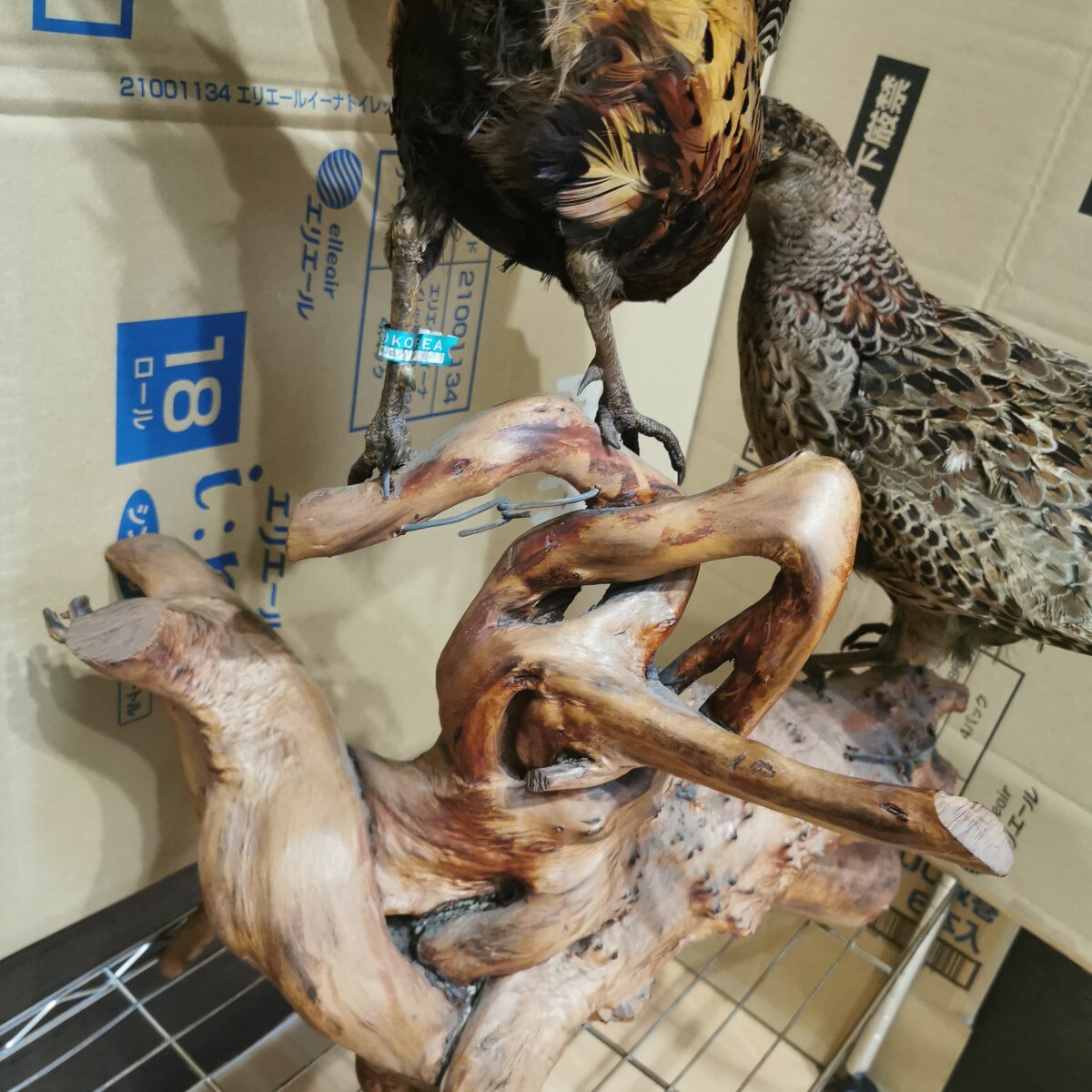 キジ 剥製 雄雌ペア 流木台座 雉 剥制 天然木 骨董 工芸品 置物(置物