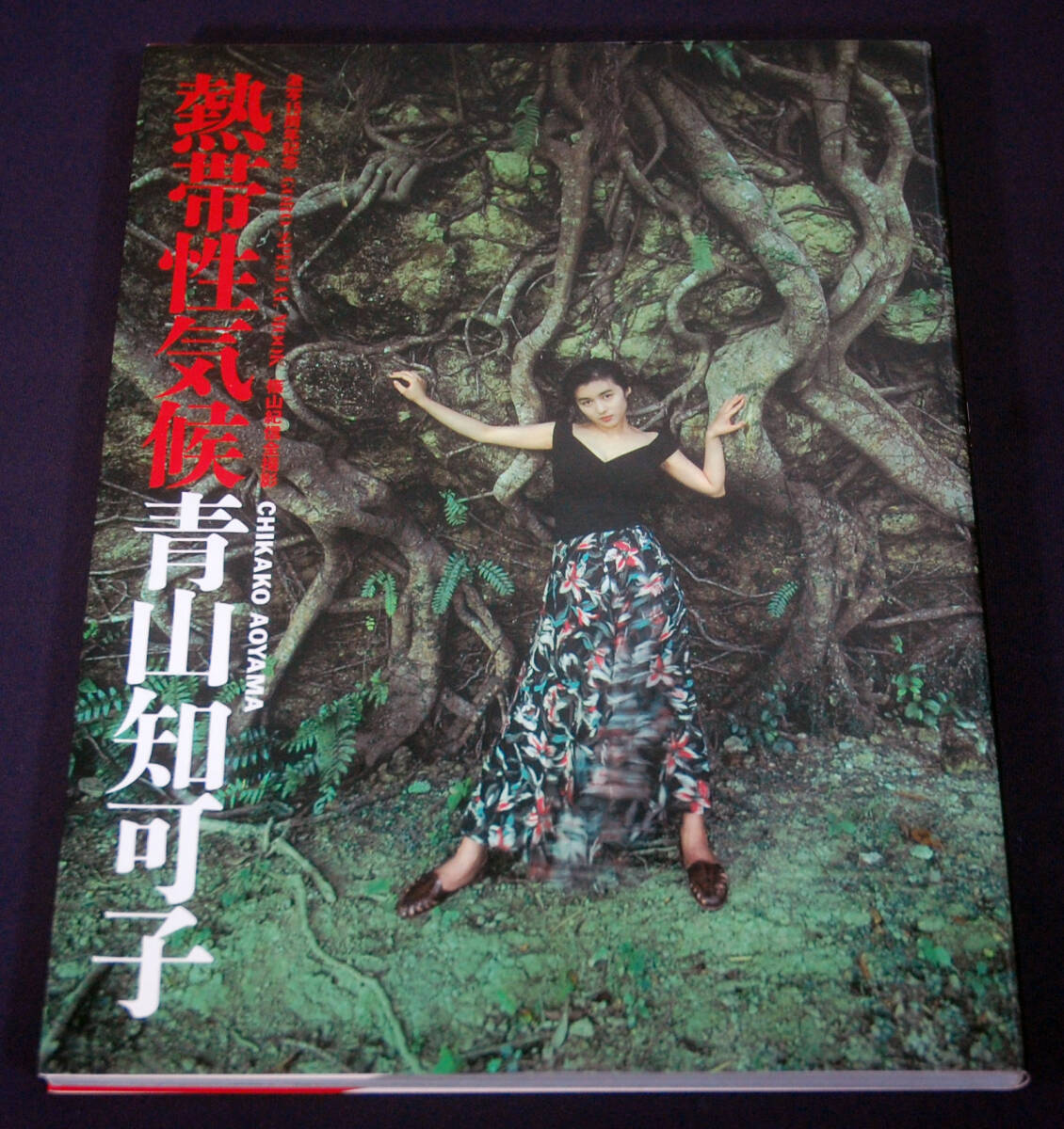 GORO Special Mook 青山知可子『熱帯性気候』 1990年初版 小学館 篠山