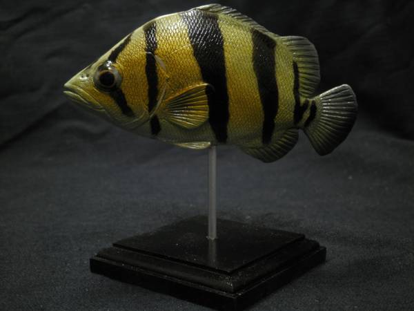 ハンドメイド 10cmダトニオ フィギュア 模型 置物 魚(淡水魚