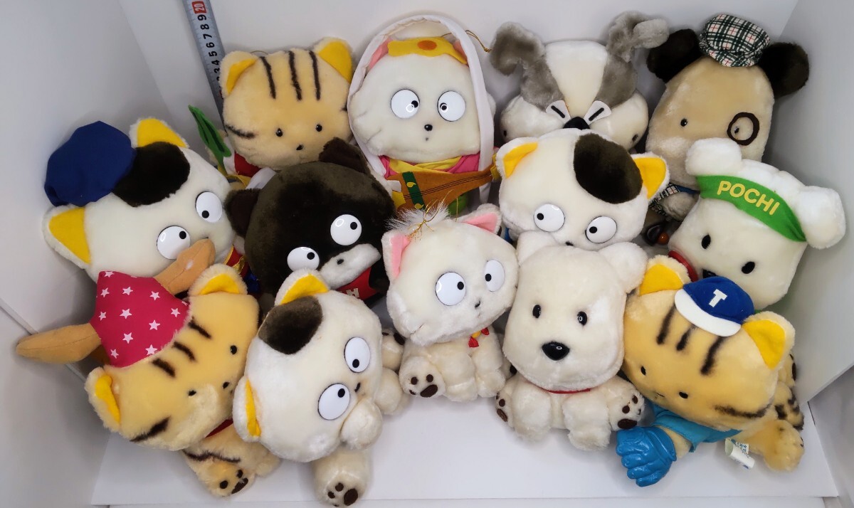 うちのタマ知りませんかの値段と価格推移は？｜31件の売買データから