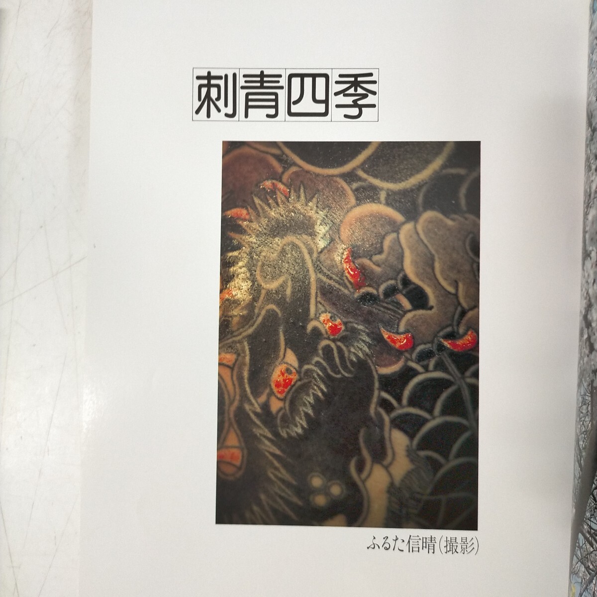刺青妖花 初版☆高木彰光 篠田邦彦 入れ墨 JAPANESE TATTOO LADIES