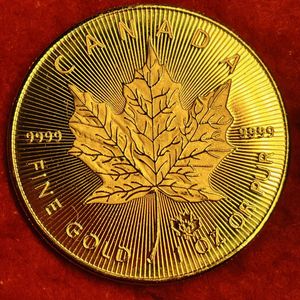 5ドル 金貨 カナダの値段と価格推移は？｜10件の売買データから5ドル