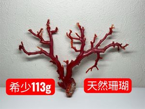 珊瑚 原木の値段と価格推移は？｜179件の売買データから珊瑚 原木の