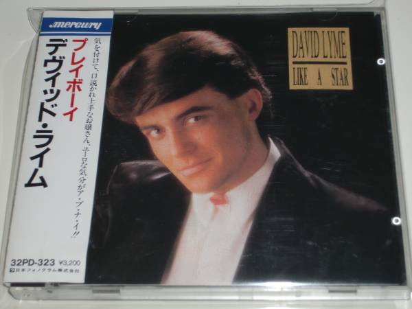 DAVID LYME デヴィッド ライム/プレイボーイ 国内盤即決(ユーロビート 