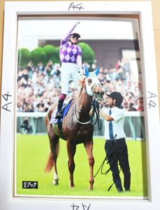 まねき馬カードNo2390今村聖奈G1記念泊（開封） 今村聖奈のYahoo