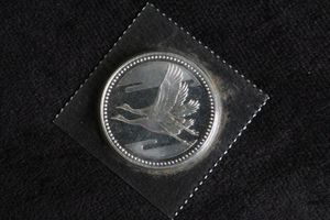皇太子殿下御成婚 純銀の中古価格は8,572円｜記念硬貨の新品・中古の