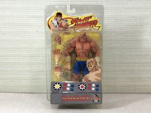 サガットの値段と価格推移は？｜10件の売買データからサガットの価値が