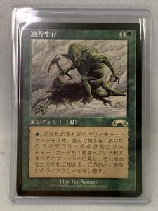 MTG適者生存の値段と価格推移は？｜2件の売買データからMTG適者生存の