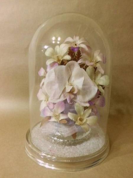 エバーフラワー ガラスケース入りドライフラワー 胡蝶蘭 一般 売買されたオークション情報 Yahooの商品情報をアーカイブ公開 オークファン Aucfan Com