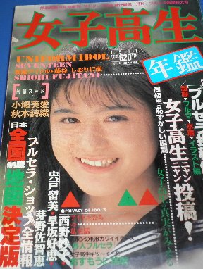 お 熱烈投稿増刊 女子高生年鑑1991年 藤谷しおり 制服地図の入札履歴