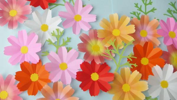 Nw 壁面飾り コスモス 秋桜２０枚 葉っぱ１２枚 保育園 秋 その他 売買されたオークション情報 Yahooの商品情報をアーカイブ公開 オークファン Aucfan Com