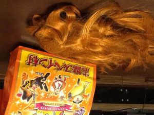 桜 稲垣早希 ブログ旅 馬鹿馬鹿しく 特典付 関西 四国 西日本 1-26  