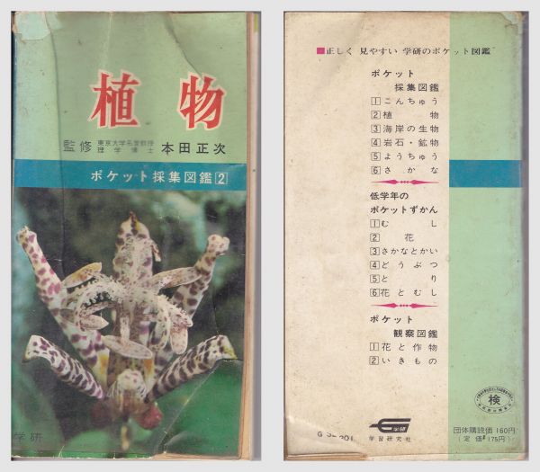 送 ｓ43年 ポケット採集図鑑２ 植物 本田正次 学研研究社 野草 植物 売買されたオークション情報 Yahooの商品情報をアーカイブ公開 オークファン Aucfan Com