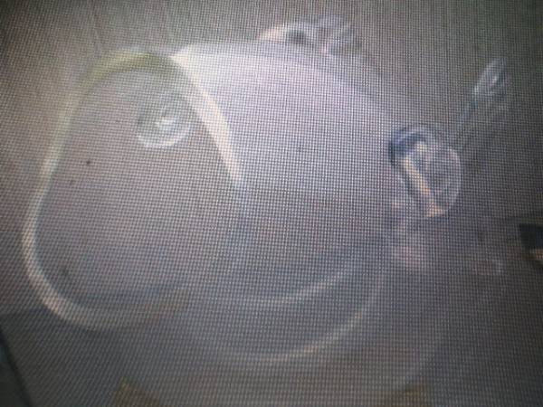 金魚形ガラスオブジェ珍品