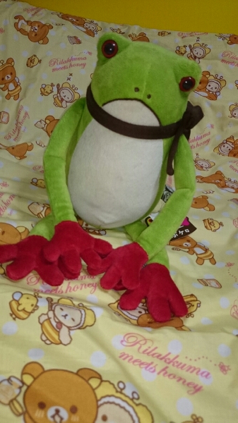 パスポート購入てぶケロぬいぐるみ蛙カエルかえる雑貨 カエル 売買されたオークション情報 Yahooの商品情報をアーカイブ公開 オークファン Aucfan Com