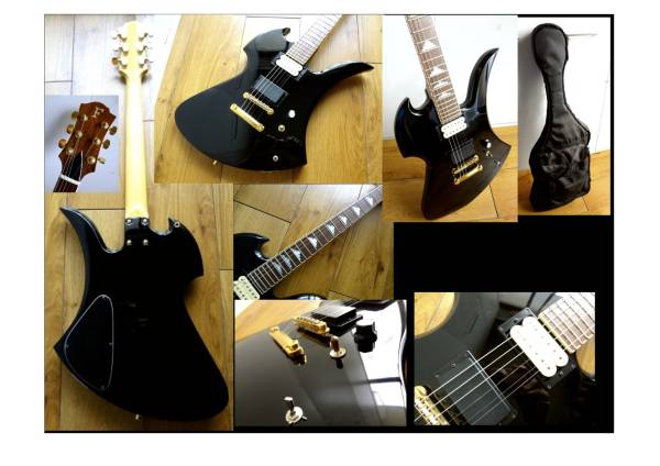 X JAPAN HIDE FERNANDES MG100X ヒデ フェルナンデス ケース付