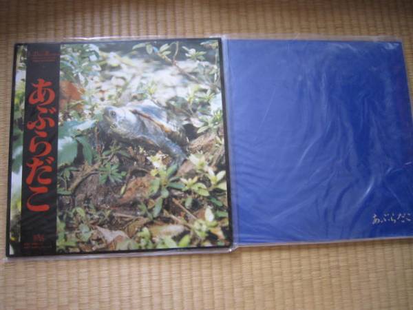 あぶらだこ 亀盤 + 青盤 LP 2枚セット(インディーズ)｜売買された