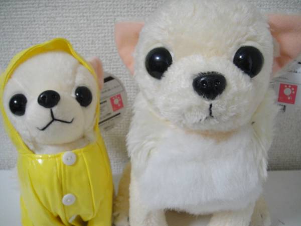 チワワ ぬいぐるみ 犬 イヌ レインコート 2種 Quechan すもも イヌ一般 売買されたオークション情報 Yahooの商品情報をアーカイブ公開 オークファン Aucfan Com