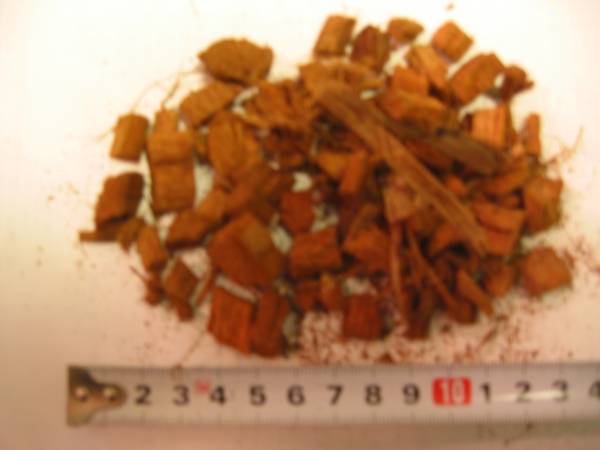 リクガメ等爬虫類床材 ココチップ100L イグアナ デュビア トカゲ